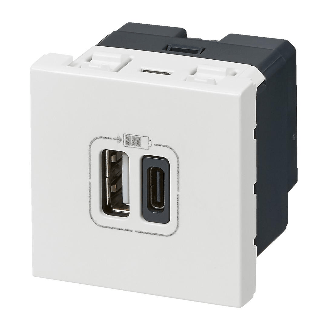 Prise USB double Mosaic – 1 USB‑A + 1 USB‑C – 3A / 15W – 2 modules – Blanc Legrand