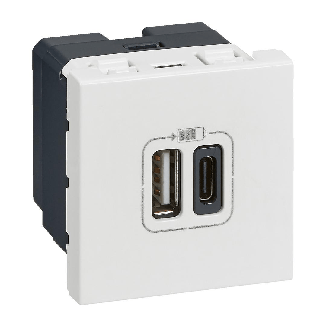 Prise USB double Mosaic – 1 USB‑A + 1 USB‑C – 3A / 15W – 2 modules – Blanc Legrand